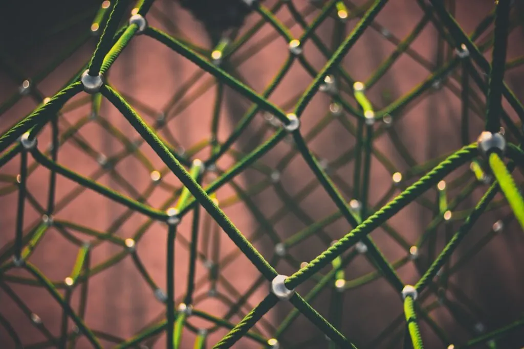 Photo Distribution network