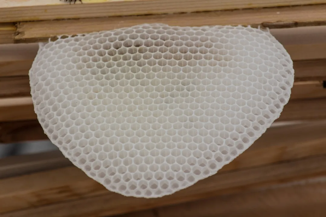 Photo Soundproofing foam