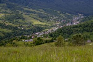 Photo supraviețuiești