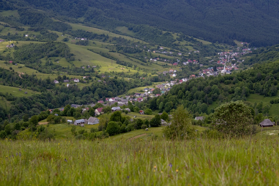 Photo supraviețuiești