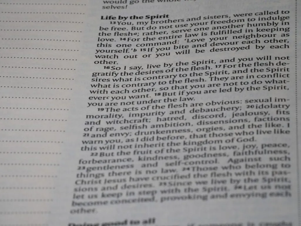 Photo specialization