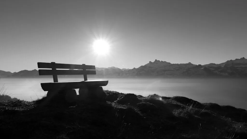 Photo pauses