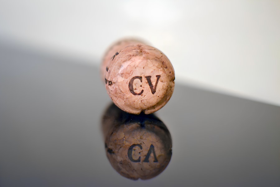 CV