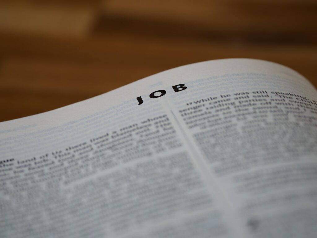 Photo job part-time and studies