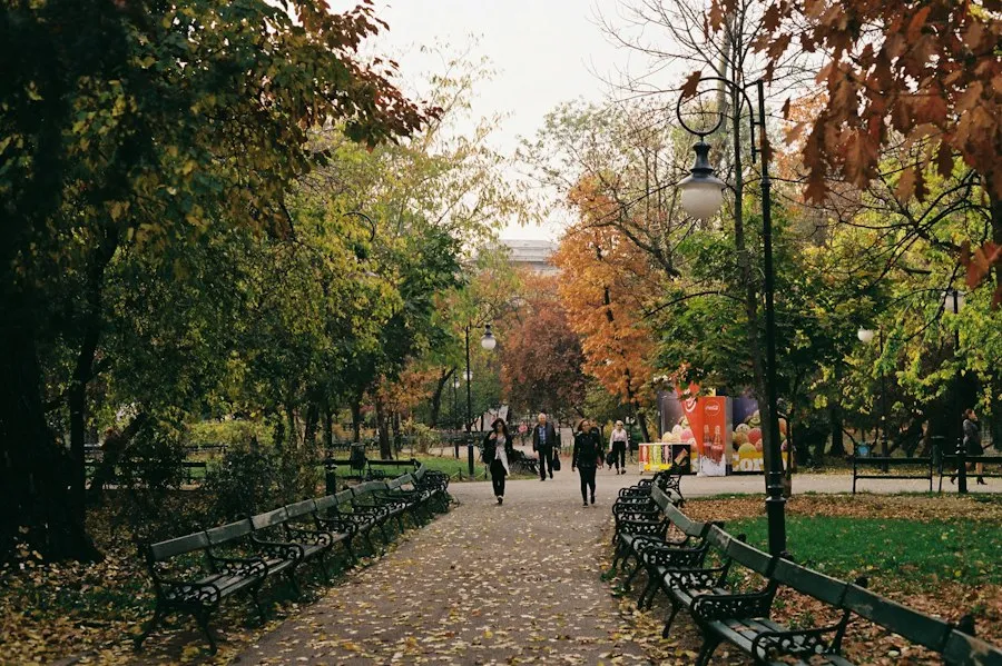 student life Romania